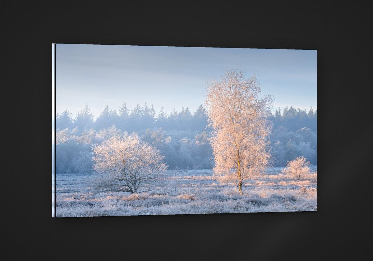 White Morning acryl