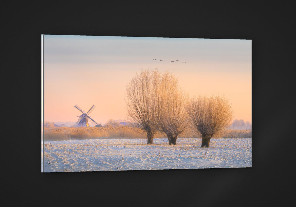Willows in Winter acryl
