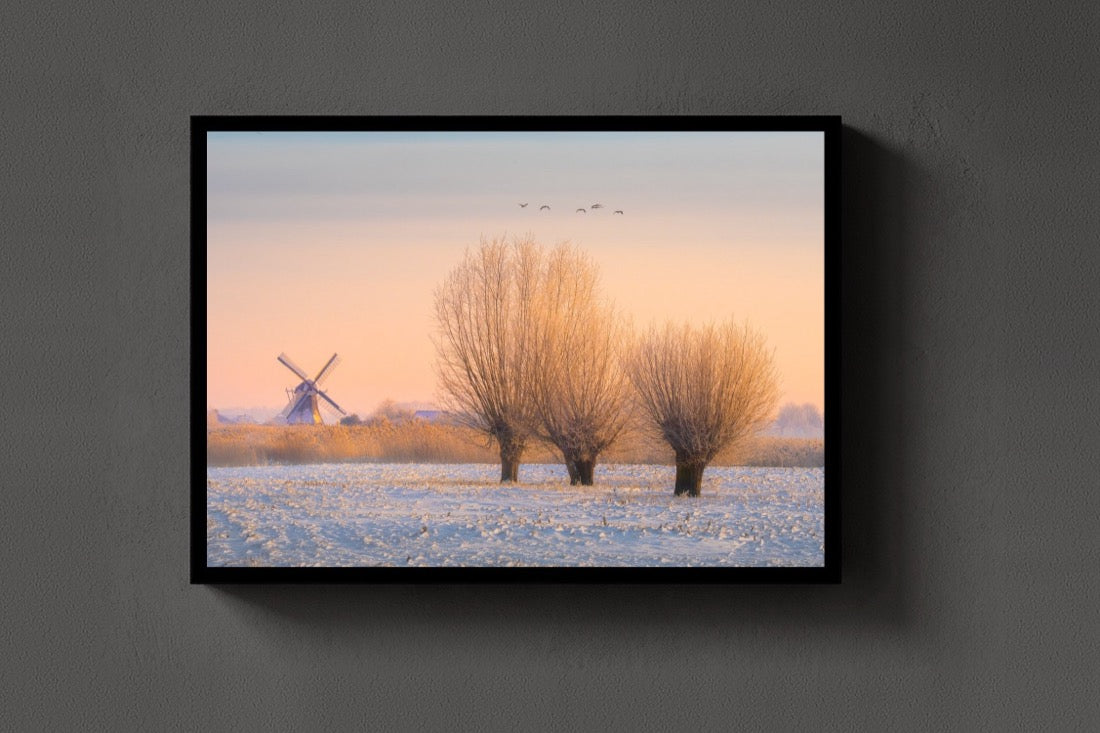 Willows in Winter lijst