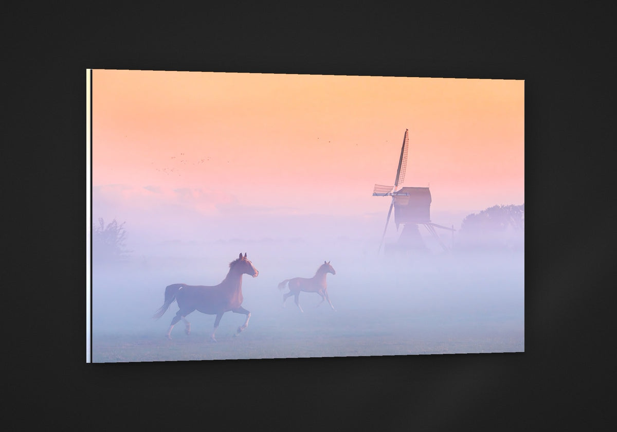 Windmill Horses acryl