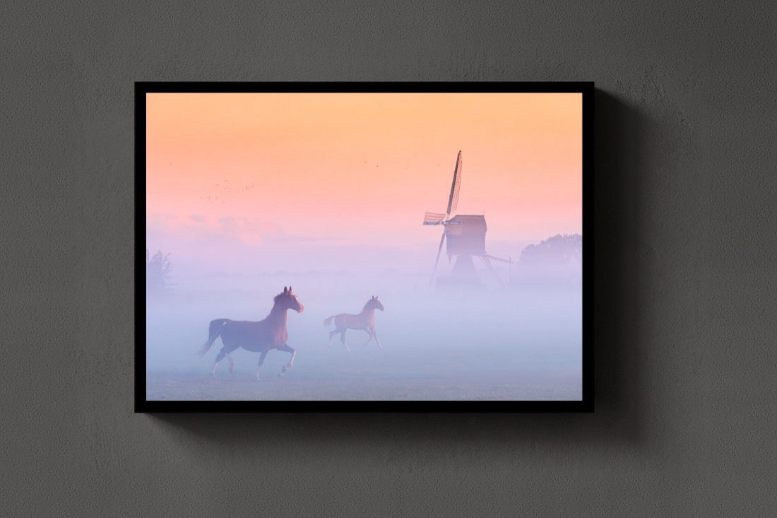Windmill Horses lijst
