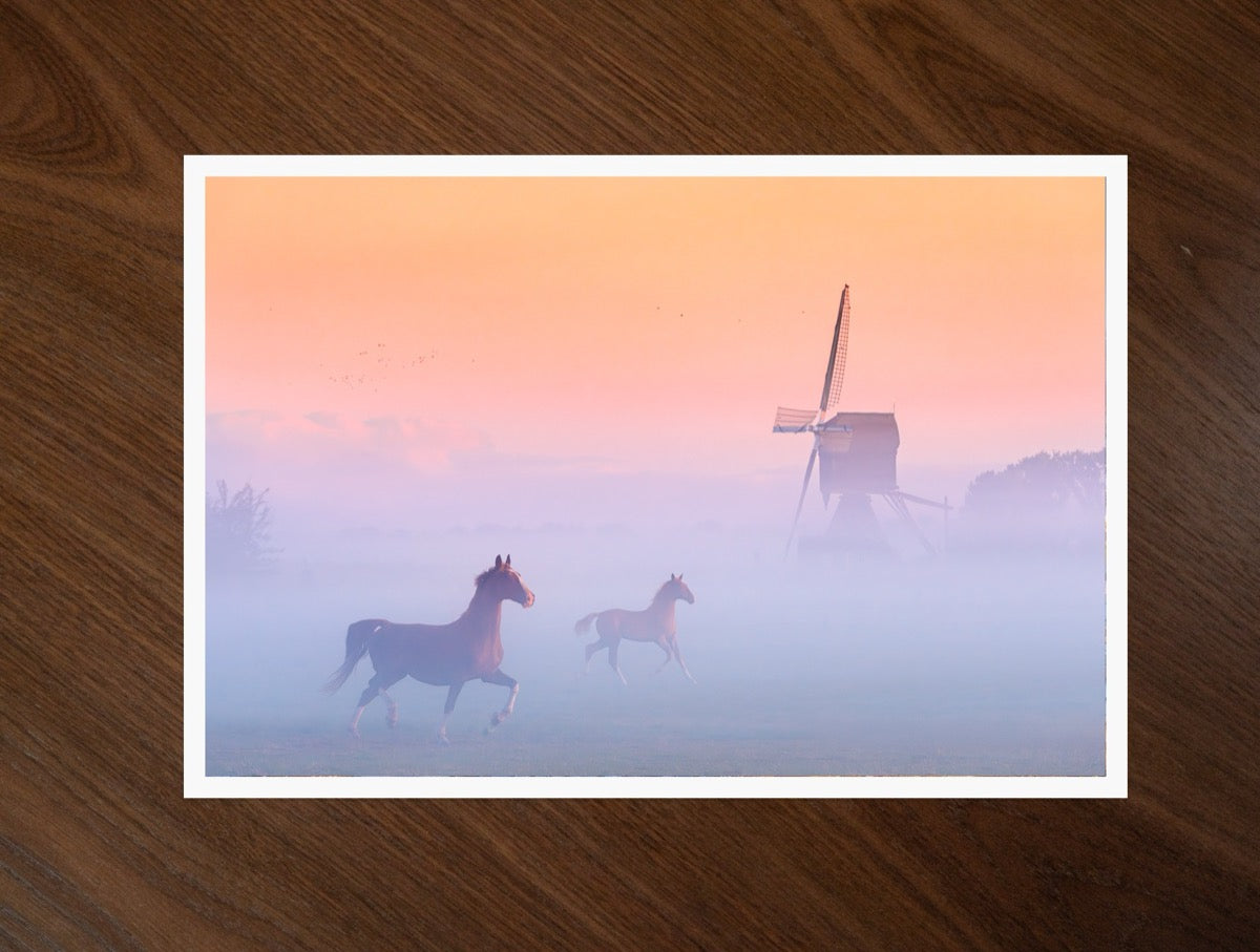 Windmill Horses print