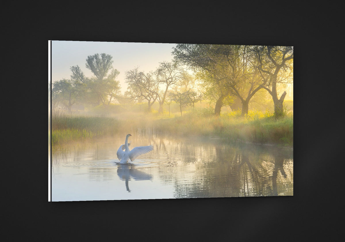 Wings of Dawn acryl