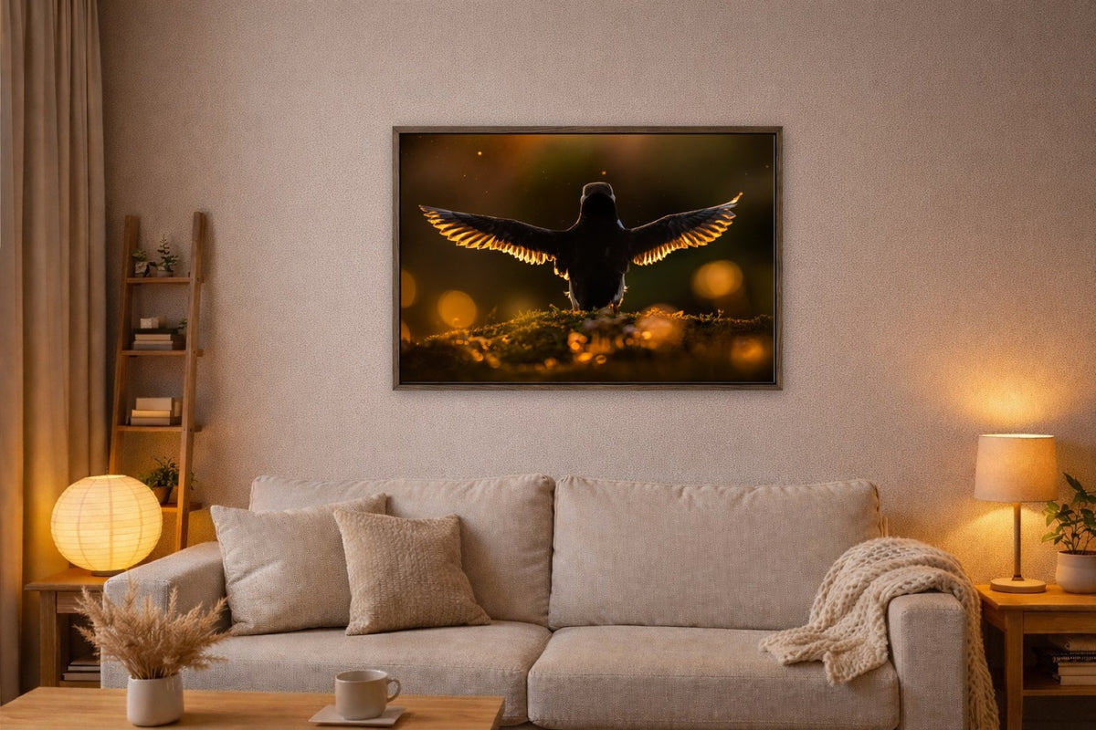 Wings of Gold lijst kamer