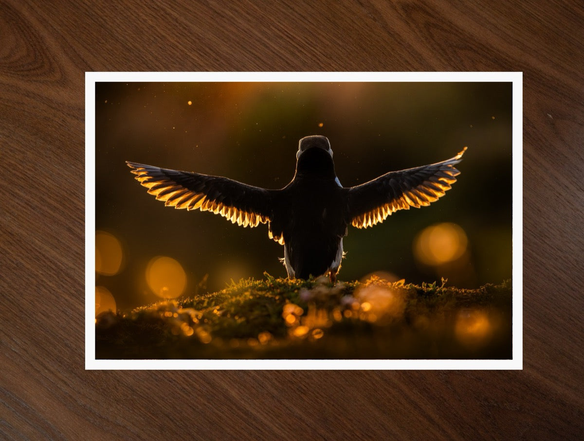 Wings of Gold print