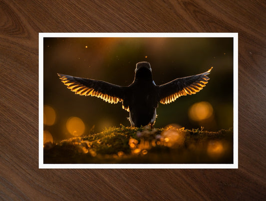Wings of Gold print