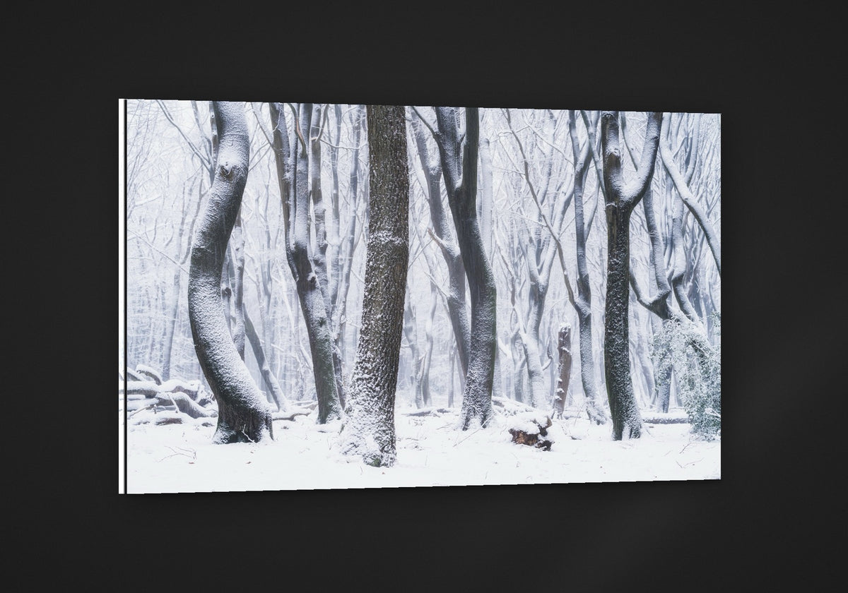 Winter Beeches acryl