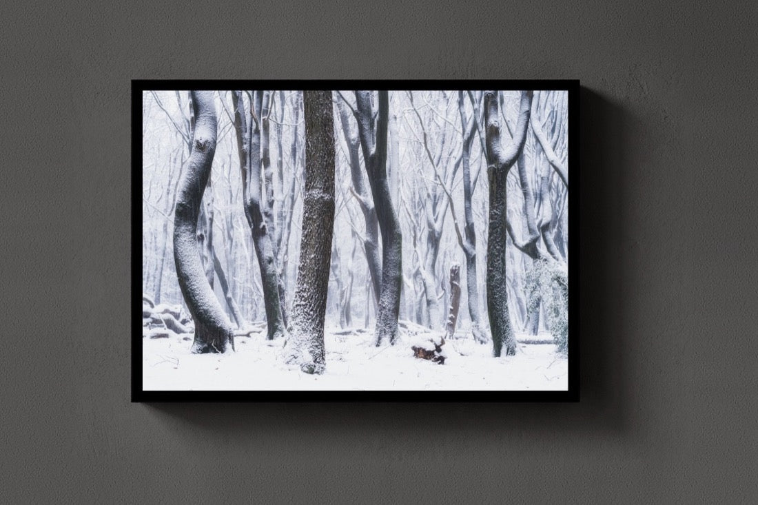 Winter Beeches lijst