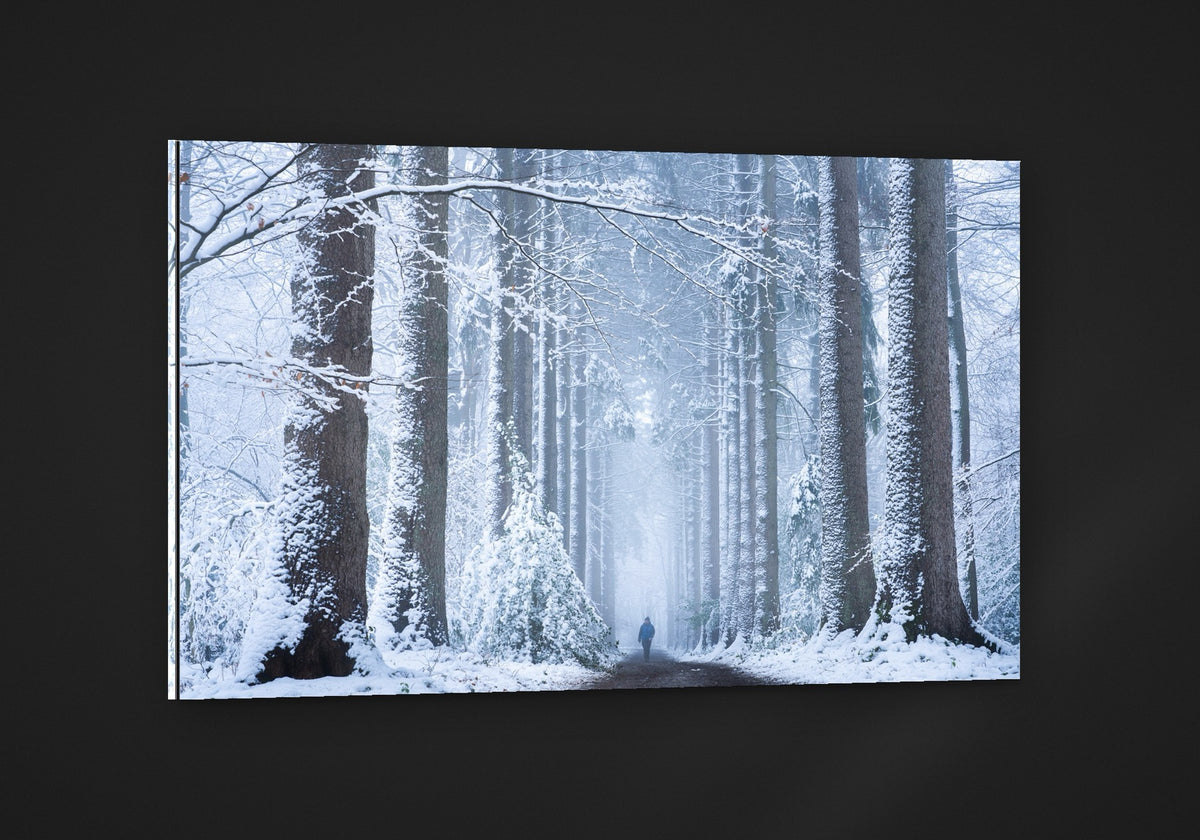 Winter Wonderland acryl