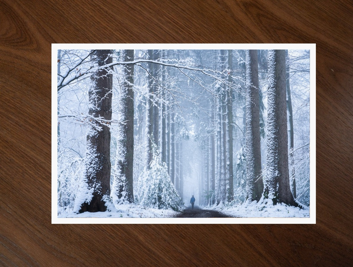 Winter Wonderland print