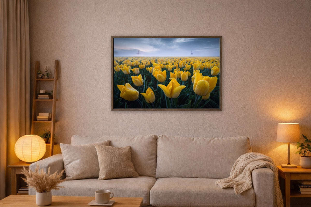 Yellow Field lijst kamer