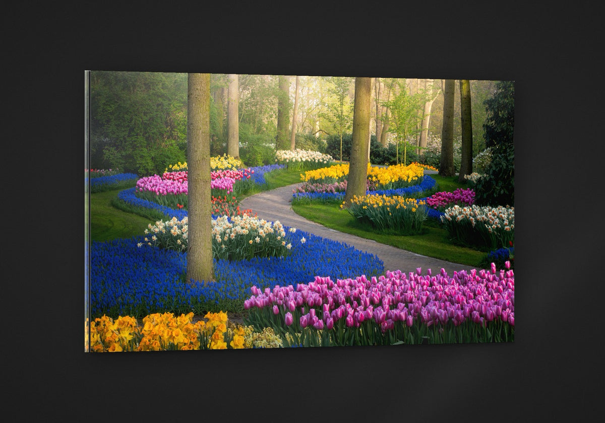 Zig Zagged Tulips acryl