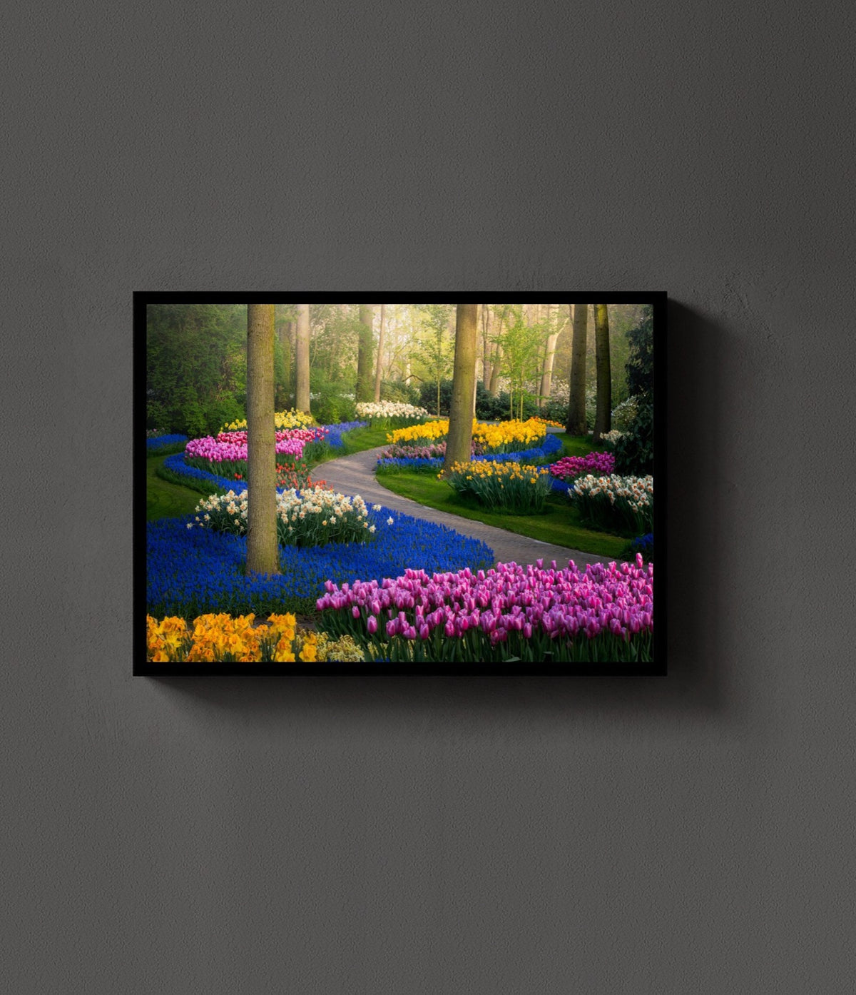Zig Zagged Tulips lijst